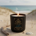 COASTAL DRIFTWOOD CBD CANDLE