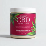 TROPICAL SANGRIA CBD CANDLE