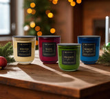 WINTER WASSAIL CBD CANDLE